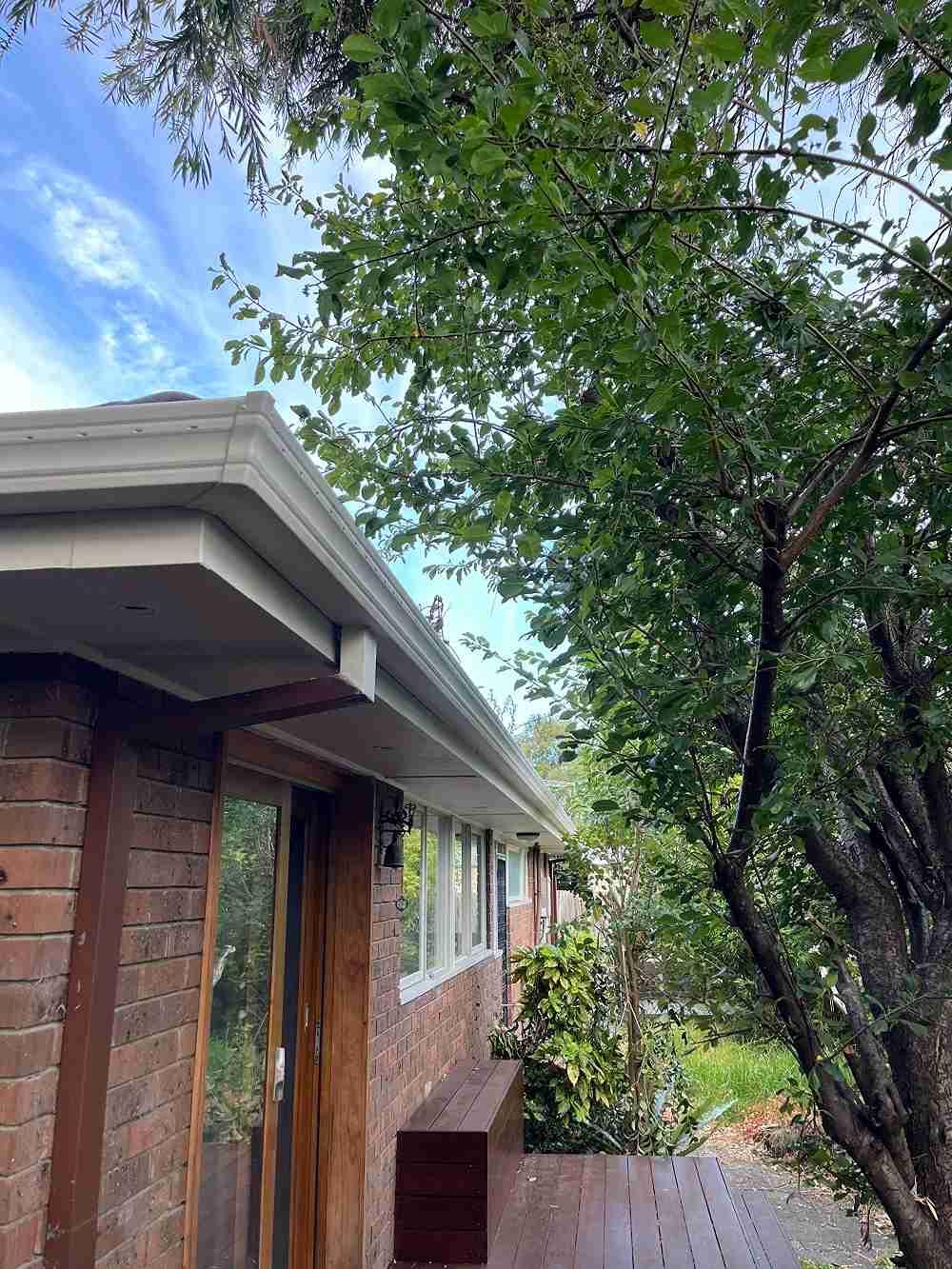 Roof Plumbing
